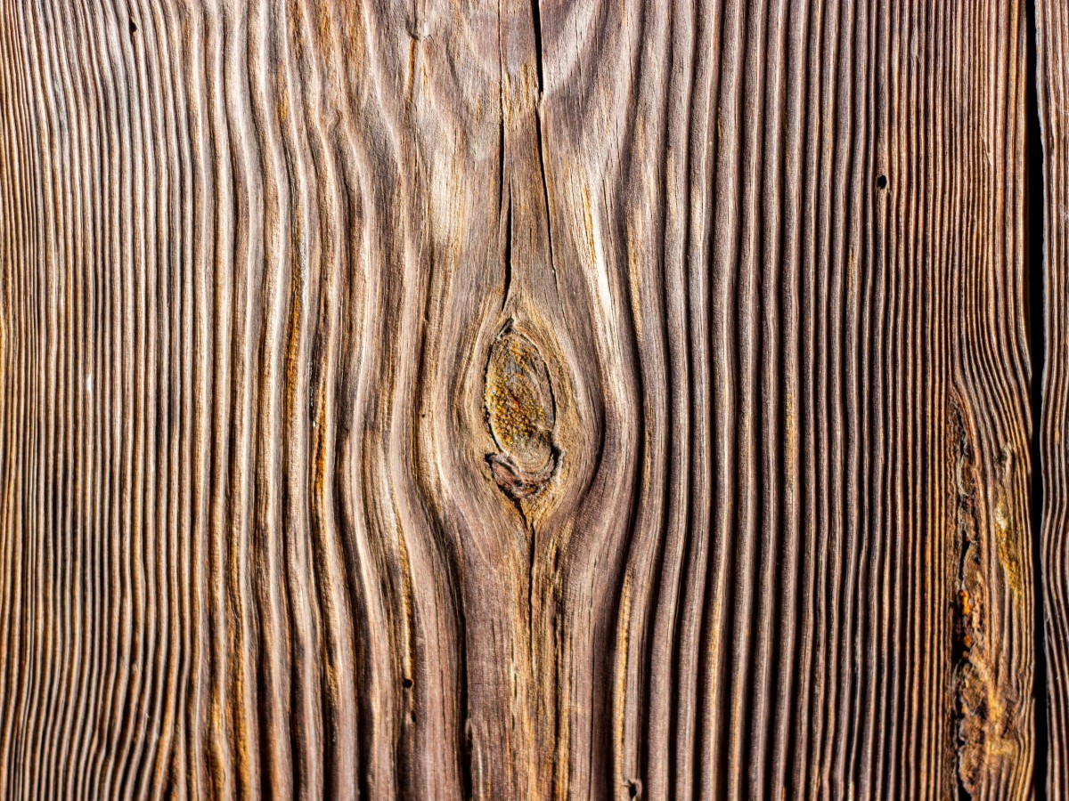 Genuine Wood Grain Texture